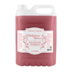 Sabonete Líquido Botanic Morango com Champagne 5L Bellplus